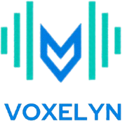 Voxelyn AI